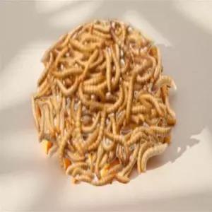 우파루파 먹이 거북이밥 사료 냉동장구 벌레 냉동짱구벌레 밀엄