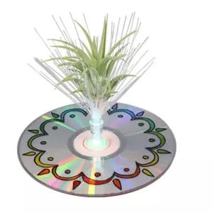 5인세트 공기정화식물기르기 광분수 이오난사 식물키우기 식물키트