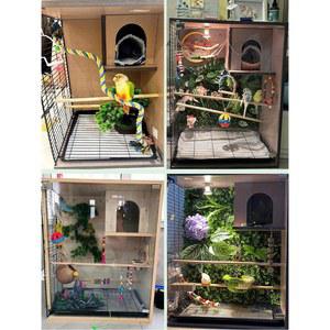 릴 앵무새 빌라 날림장 새집 투명 대형 조류 케이지 둥지 사육