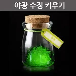 화학 결정체 실험 규산질 가루로 수정 키우기 화학실험