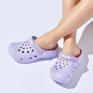 아쿠아러쉬 퍼플