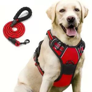 위드몽 중형견 대형견 하네스 리드줄 세트