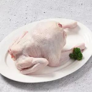 두메산골 당일손질 냉장 토종닭 1.3kg내외