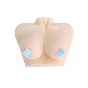 양측 실습용 모형 연습 유방모형 수유 모유 가슴 실리콘 교육용
