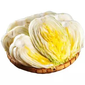 당일생산당일출발신영식품 정담은 절임배추 3kg 5kg 10kg예약가능!! 상세페이지내 기재된 핸드폰번호로 전