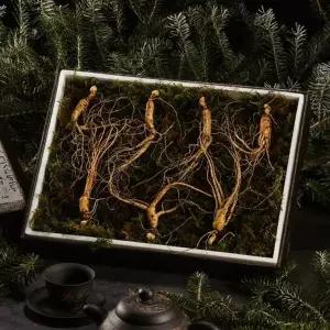 [명가일품]리얼명작 강원도 토종 산양산삼 선물세트 5-6년근 (6뿌리)