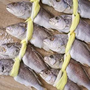 [맛군]국내가공 간편한 손질 민태굴비 10마리(마리당 150~200g내외)