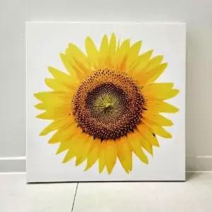 액자 해바라기 해바라기그림 현관 개업 WFJYPE3