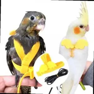 앵무새 반려새 하네스 발목링 산책 리드줄