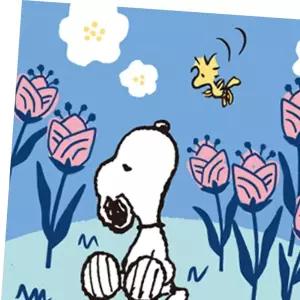 DIY 그리기 페인팅 피너츠 스누피 꽃향기 25X25