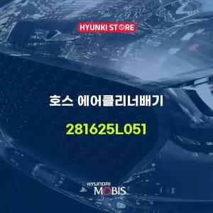 [현대모비스]호스 에어클리너배기 (281625L051) 현대모비스부품몰