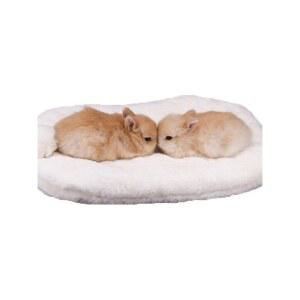 토끼 방석 쿠션 기니피그 상자 여행 의자방석 겨울 작은 사육장 당근 핸드메이드