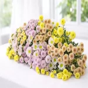 꽃 생화택배 계절 랜덤꽃 둥글둥글 꽃송이 소국 꽃다발 졸업 입학 응원 기념일 축하