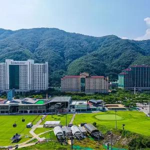 [비발디파크] 소노벨/소노캄/소노펠리체/소노빌리지/소노펫 얼리버드 2차 패키지 (3/2~4/30)