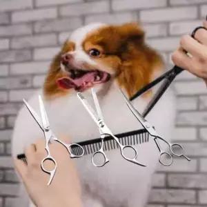 3종세트 미용가위 애완동물 안전커팅 강아지 셀프미용