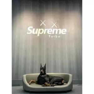 리트리버 대형견 소파 침대 푸들 하우스 매트 스탠다드 쿠션