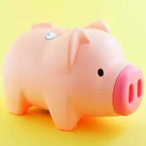 자이언트 685NCA54 저금통 복 돼지