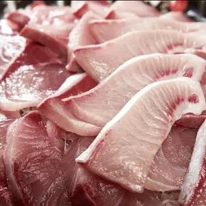 [NS홈쇼핑]25년 햇 대방어 슬라이스 회 +초장 세트[35589822]