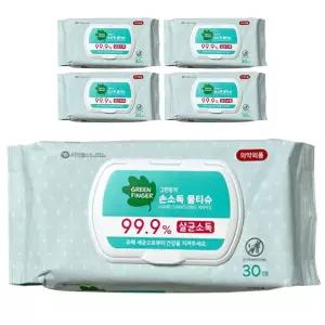 그린핑거 99.9% 손소독 물티슈 살균 소독 티슈 캡형 30매 5팩