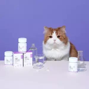 본아페티 조인트캡스포캣 고양이 관절 영양제 60캡슐, 1개