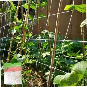 잔솔 넝쿨 지지대 텃밭 오이 고추 덩굴 식물 새그물망