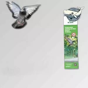 비둘기 퇴치 스파이크 효과적인 새 방지