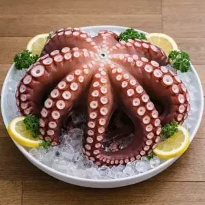 참맛나는 산지직송 국내산 제수용 활 돌문어 2kg 1미)