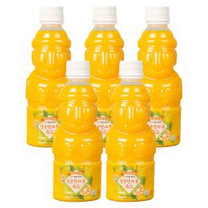 제주향 감귤 한라봉 100 프로 착즙 주스 330ml (5개) NFC 제주 천연 프리미엄