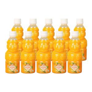 제주향 감귤 천혜향 100 프로 착즙 주스 330ml (10개) NFC 제주 천연 프리미엄