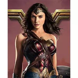 [아트박스]/아이러브페인팅 보석십자수 DC코믹스 원더우먼 캔버스 40x50