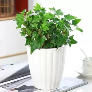 플리츠 화분 3p세트 자동급수 포트 저면관수 인테리어 (WFHJAM2)