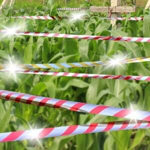 새?기 까치퇴치 새퇴치기 c2