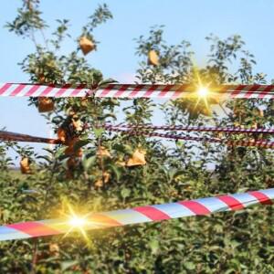 실외기비둘기퇴치 새?는방법 c2