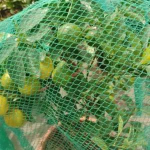 까치보호망 참새 비둘기 질긴소재 다양한활용 양계망 4X5m (WFJ6YWD)