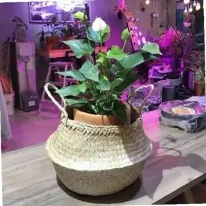 ksr 바구니-2중 비닐 왕골화분커버(소형) 25x26cm