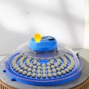 스마트 계란 메추리 부화기 완전 자동 인큐베이터