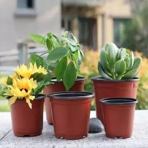 비닐화분 소형화분 포트화분 선인장화분 미니꽃화분