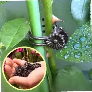 원예 용 덩쿨 넝쿨 식물 고정 핀 지지대 집게 줄기 삔 1개