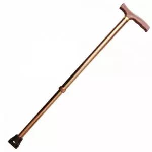 고급 이중 지팡이 안전 보행 이동 보조 품질 좋은 무지 디자인 (WFKHD61)