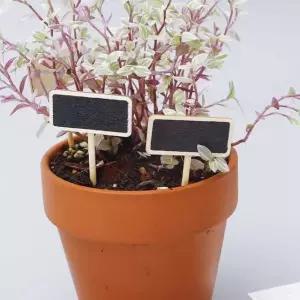 미니칠판 네임택 표시탭 화분네임칠판 정원용미니칠판 (WFKHK7X)