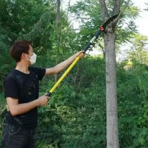 전지가위톱 가위 수목고지가위 수목절단톱 톱 정 WFLR546