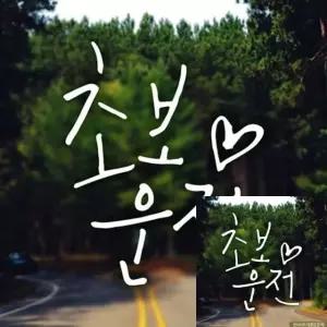 초보운전 차량 스티커 세로형 하트 반사 자동차 초보자용 (WFKKYIS)