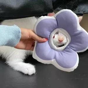 꽃피는 강아지 고양이 쿠션 넥카라 퍼플 S