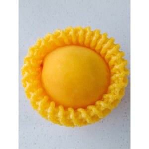 복숭아 패드 일반 메쉬 12x7 충격 망 1 약 포장재 87 배망 4량 10x6 3 과수원