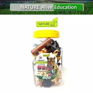 WING CROWN IND LTD 야생탐험(대) 자연은살아있다교육완구 어린이모형 동물 장난감 학습용 용모형