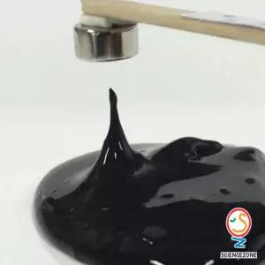 자성슬라임 5인용 초등과학실험키트 DIY 만들기 학습 키즈 어린이 교과 실습