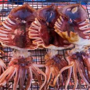 [롯데백화점]남도사랑 촉촉한 피데기 반건조 오징어 5마리 (중/550g)