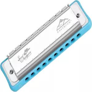 이스트락 10홀 블루스 하모니카 키 오브 C 마우스 오르간 케이스는 성인 전문가 초보자 CB05 핑크에게