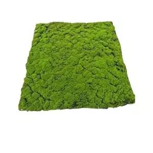 고품질 조경 인조이끼 1m x 데코 잔디 매트 조경 인조이끼 1m 잔디 WFIMJ1O
