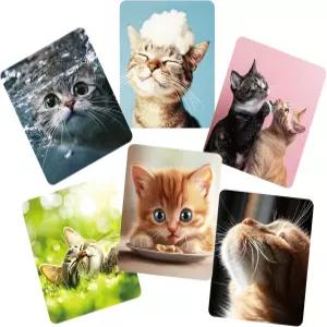 애니윈드 극세사 안경 클리너 천 안경용 귀여운 고양이 청소복 휴대폰 스크린 카메라 렌즈 -6pcs